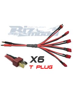 T Plug Parallel Charger BIZ-BCA031
