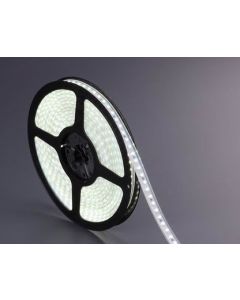 1m SMD LED stripe Cool White BIZE017