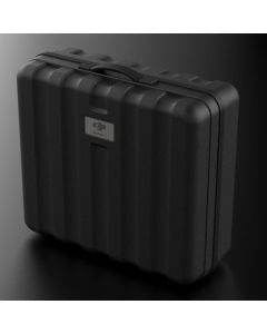 ORIGINAL CASE