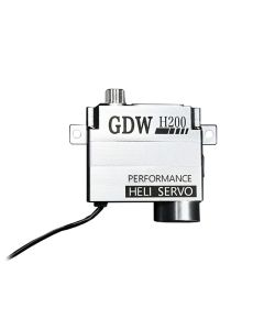 GDW H200 Servo per Fly Wing FW200