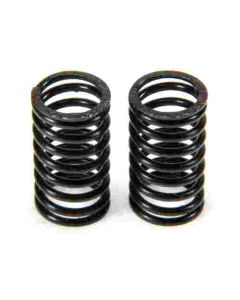 PN0125 VALVE SPRING SET F91S