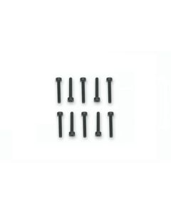 10 Viti M2,5x14mm Testa Cilindrica Cava Esagonale SCR2514