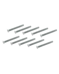 10 Viti M2,5x20mm Testa Piana Svasata SCR2520ZN