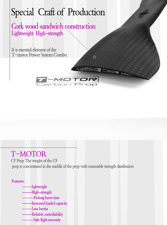 T-MOTOR-17*5.8